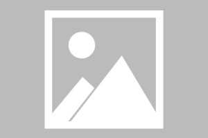 PG电子总线平台（pg电子平台是干啥的）